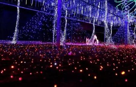 2018松江菊花节时间 2018松江菊花节游玩攻略