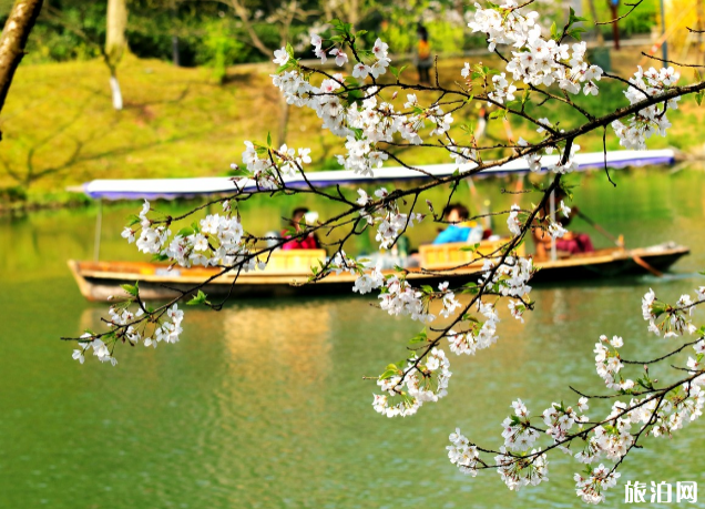 杭州旅行怎么省錢 杭州一年四季去哪玩