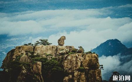 黄山北站到黄山风景区怎么坐车