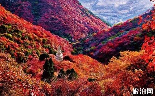 2018光雾山门票价格+优惠政策 光雾山红叶节什么时候开始