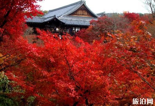 日本紅葉時間表2018 日本紅葉哪里有名