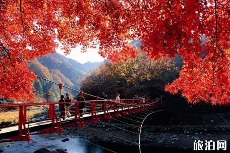 日本紅葉時間表2018 日本紅葉哪里有名