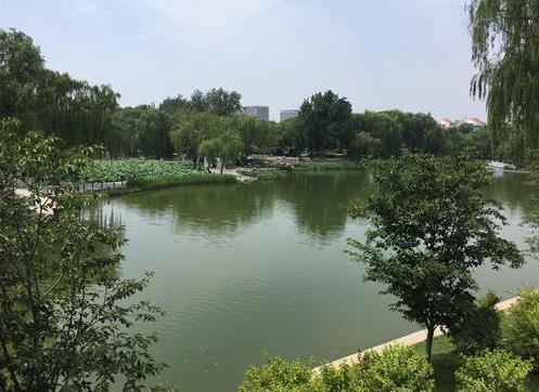 北京陶然亭公园门票多少钱+优惠政策+开放时间