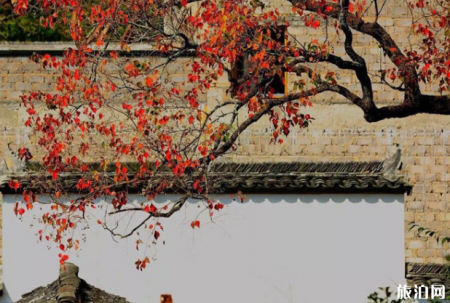 婺源红叶什么时候红 婺源红叶最佳观赏地点