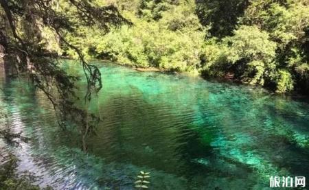 成都到新都桥旅游线路8天路线推荐