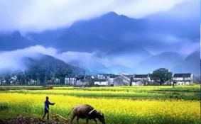 江西婺源旅游最佳时间 去婺源旅游要多少钱