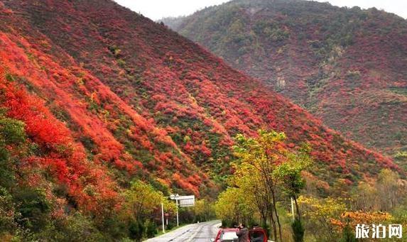 凤县秋天旅游景点介绍 凤县秋天旅游线路推荐