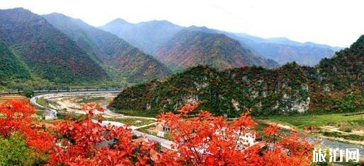 鳳縣秋天旅游景點介紹 鳳縣秋天旅游線路推薦