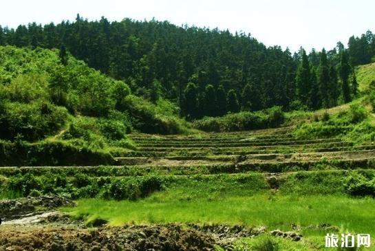 岳阳有哪些小众景点值得去 岳阳小众景点推荐