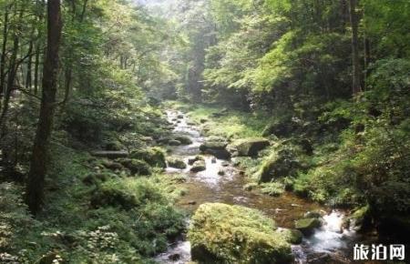 五天时间够玩张家界和凤凰古城吗
