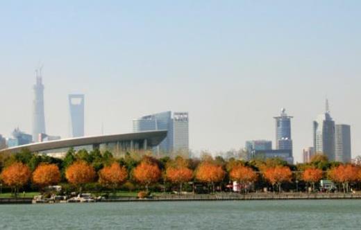 上海世纪公园红叶观看最佳时间