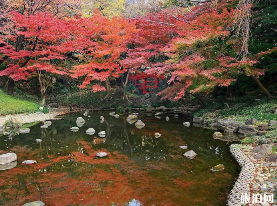 日本枫叶2018预测最佳时间 日本枫叶最佳观赏点推荐 日本的枫叶什么时候红