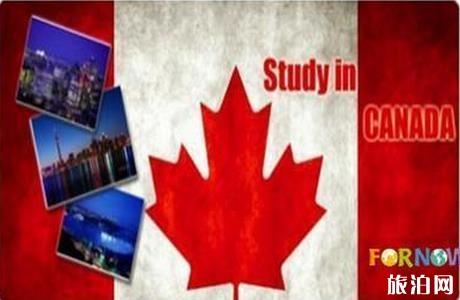 申请加拿大旅游签证是否需要缴纳保证金