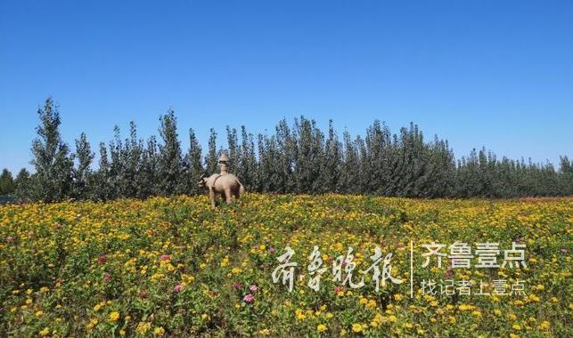 驢寶寶的七彩田園介紹