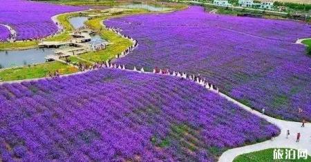 甘肃什么时候去最好 甘肃旅行时间表