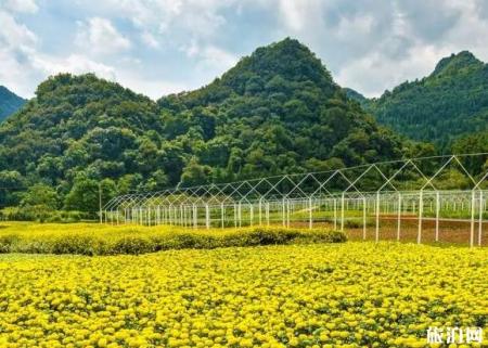 2018国庆兴义万峰林赏花门票多少钱