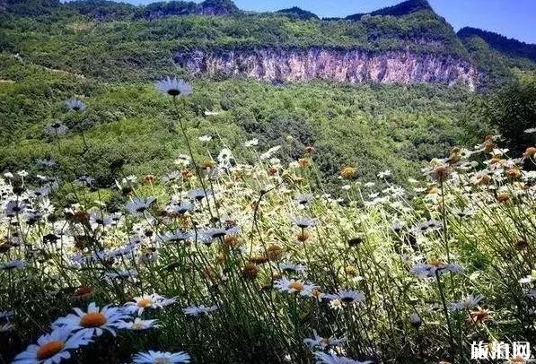 十一陕西旅游景点推荐