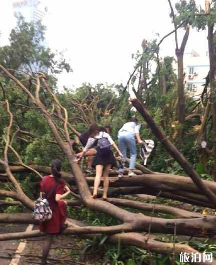 2018國慶哪些景點不要去 不適合國慶旅游的城市有哪些