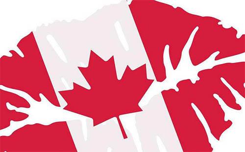 遇上加拿大签证申请表IMM5257E打不开怎么解决