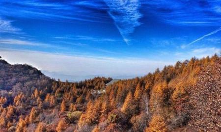 秋天看枫叶哪里最好