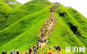 武功山到底是安福縣的還是萍鄉市的 武功山在江西哪里  武功山一日游攻略 爬武功山需要準備些什么