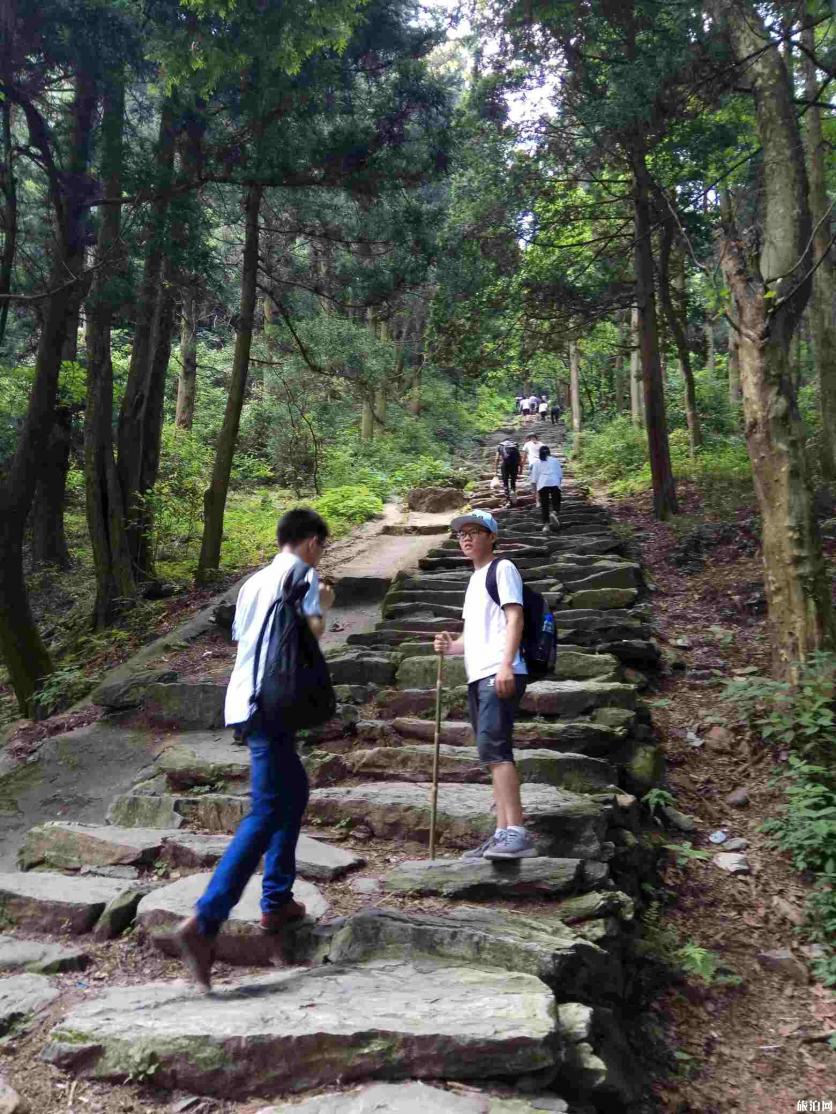 庐山自驾游还需要买观光车票吗