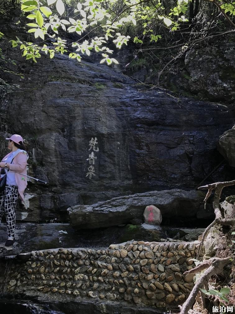 庐山自驾游还需要买观光车票吗