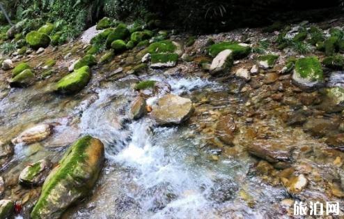 到了张家界怎么去景区 怎么去张家界旅游