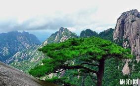 怎么去黄山风景区 黄山风景区索道门票多少钱