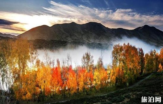 新疆白沙湖風景區門票及優惠政策 新疆白沙湖風景區旅游景點