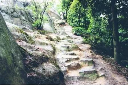 重庆周边最美景点推荐