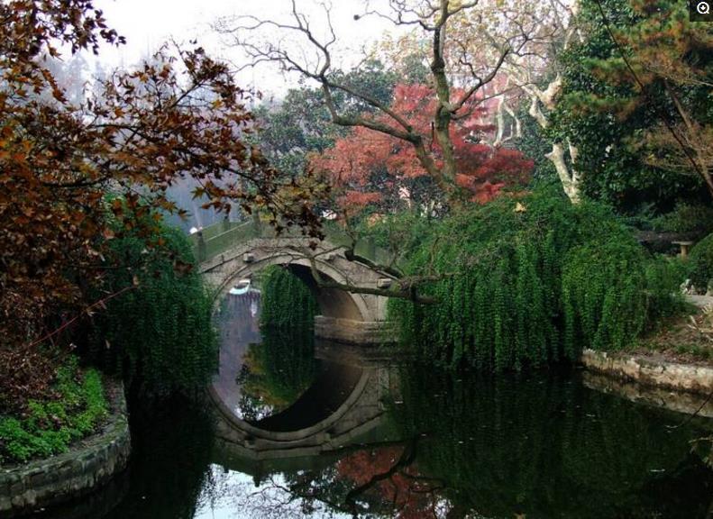 上海看枫叶去哪里好