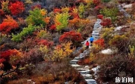 2018北京坡峰岭红叶节门票+时间+地点+交通