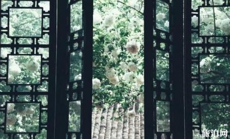 南京寺庙哪些灵验