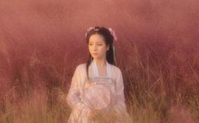 杭州粉黛乱子草在哪里 杭州哪里的粉黛乱子草被破坏