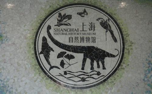 上海自然博物馆开放时间