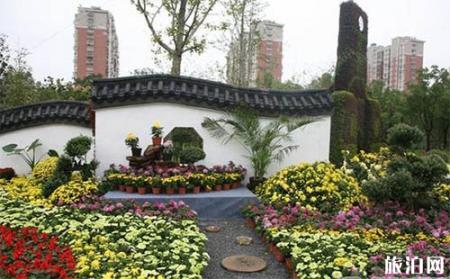 2018唐闸公园菊花展什么时候开始