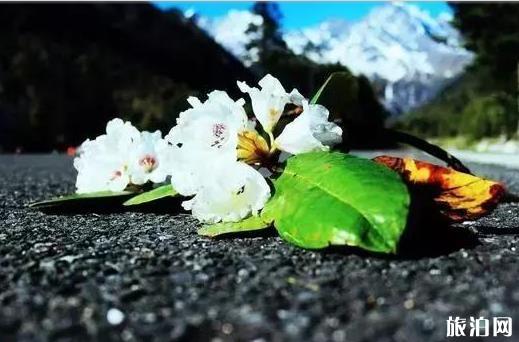 凉台沟风景区路好走吗 凉台沟游玩攻略