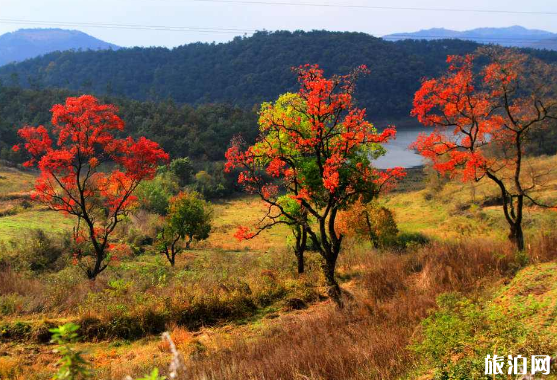 武汉秋冬旅游去哪好 武汉秋冬旅游景点排行榜