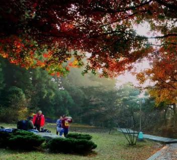 2018重阳节江西免费景点大全