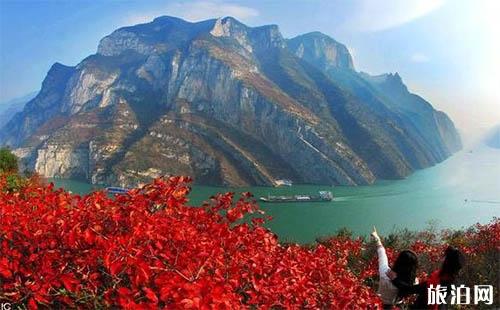 2018巫山国际红叶节都有什么活动