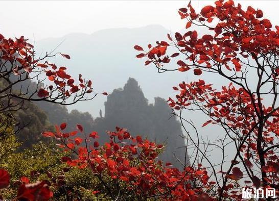 2018巫山国际红叶节都有什么活动