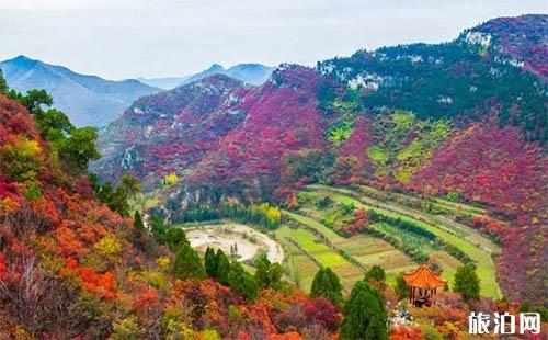 2018沂源凤凰山红叶节是什么时候开始