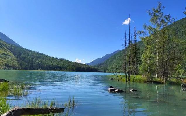 喀纳斯旅游注意事项