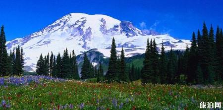 玉龙套票包括什么 玉龙套票多少钱 玉龙雪山门票和玉龙套票区别