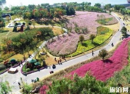 2018泰山天颐湖景区菊花展持续时间是多久