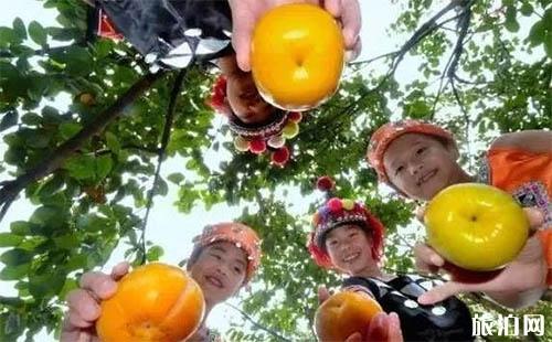 2018恭城柿子节是什么时候