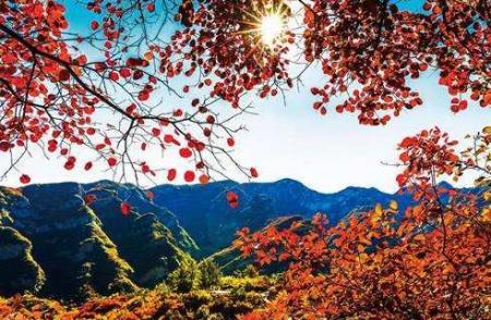2018太白县第十届红叶节持续到什么时候