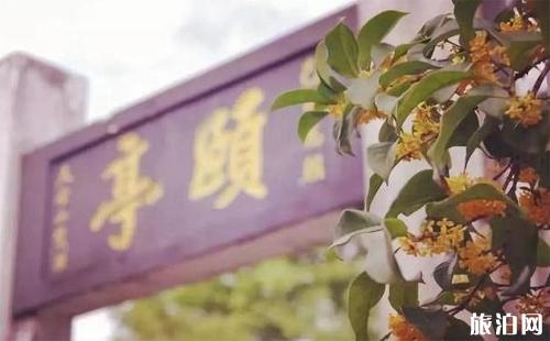 上海桂花开了吗 上海桂花出名的公园有哪些