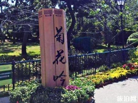 2018青岛中山公园菊花展时间是多少